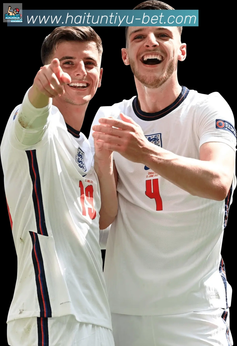 海豚直播体育品牌故事